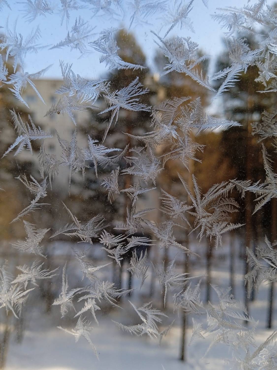 Photo #8925931