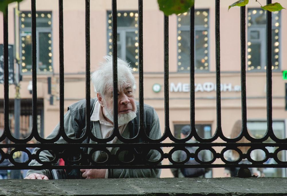 По другую сторону ограды