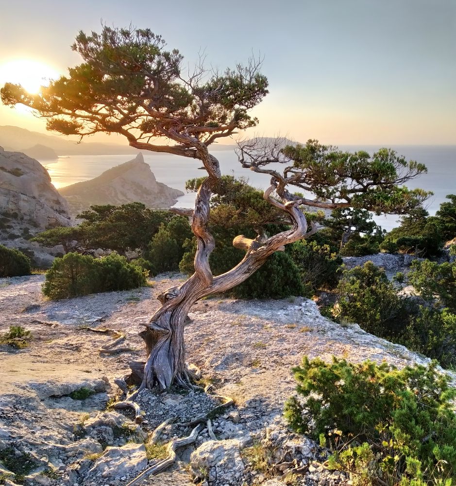 Фотография автора Кухта Мария