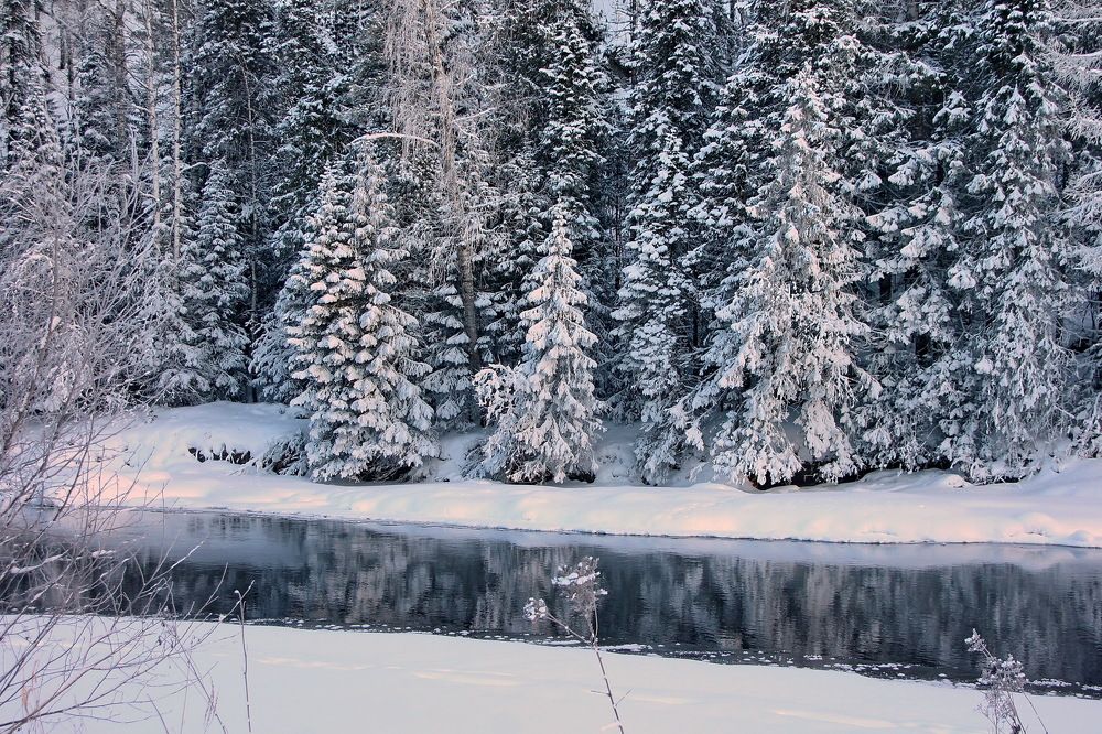 Photograph by Sergei Petrov