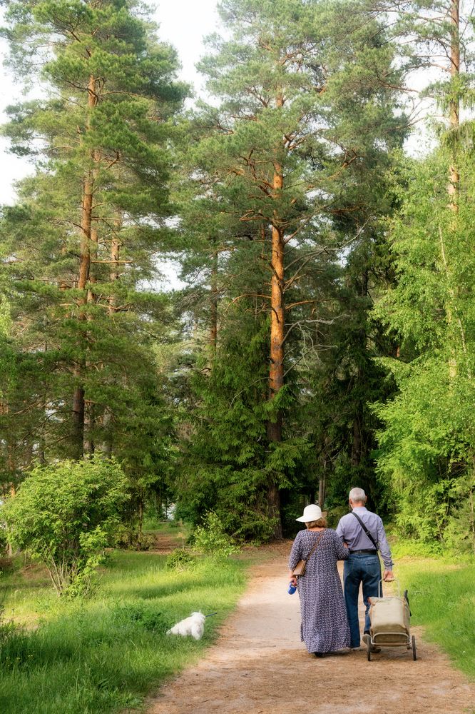 Сказочное лето