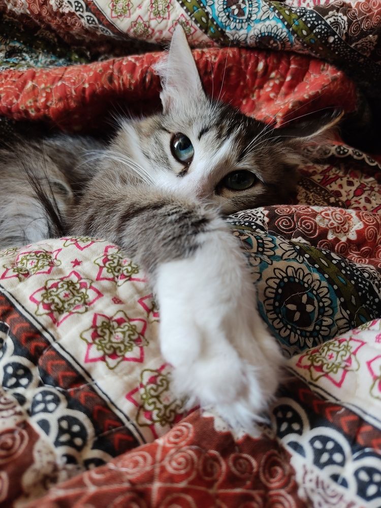 Photograph by Лариса Минбаева