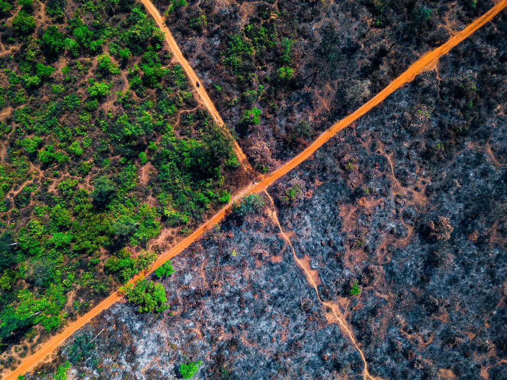 Photograph by Anirban Pan