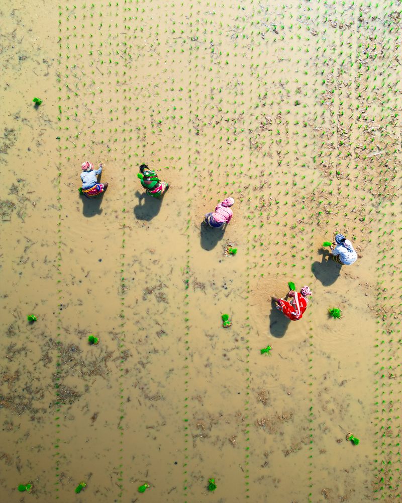 Photograph by Anirban Pan