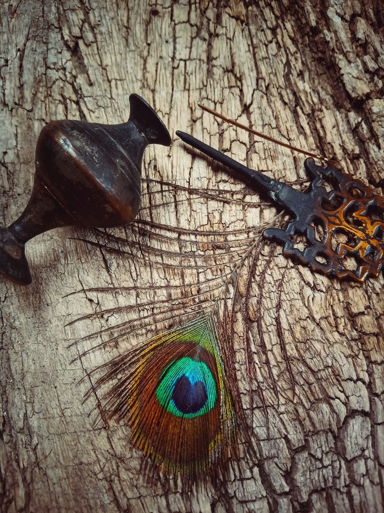 Photograph by Candy_photofactory