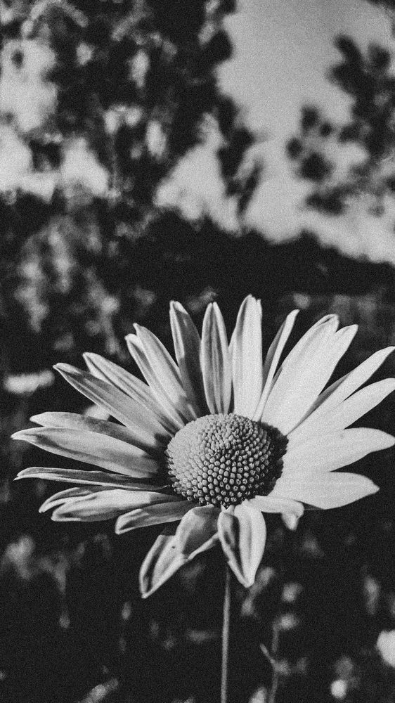 Photograph by Евгения Петрук