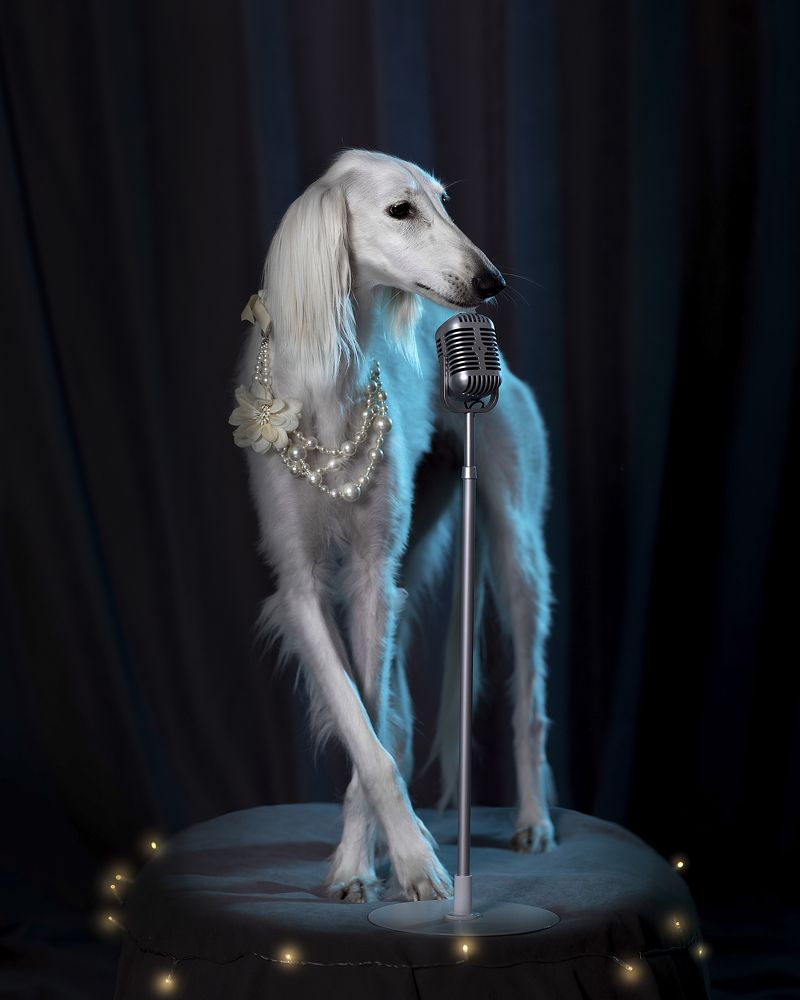 Photograph by Ольга Евграфова