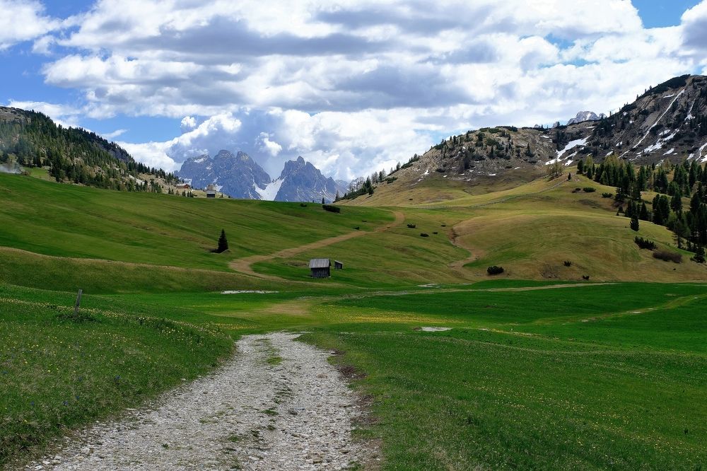 Фотография автора Dmitry