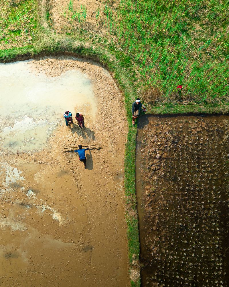 Photograph by Anirban Pan