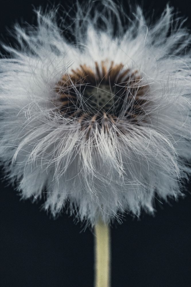 Photograph by Anna Turks