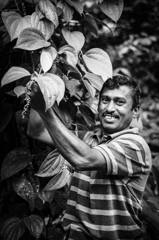 Photograph by Chanaka Weerasingha