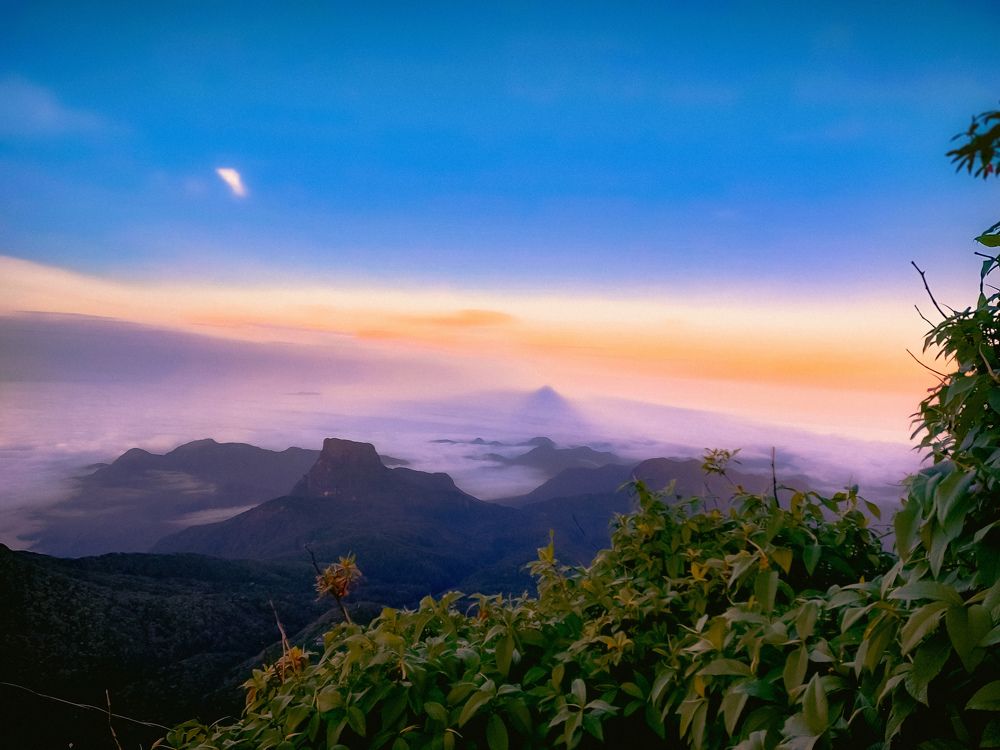 Photograph by Tharusha Bimsara Weeranayaka