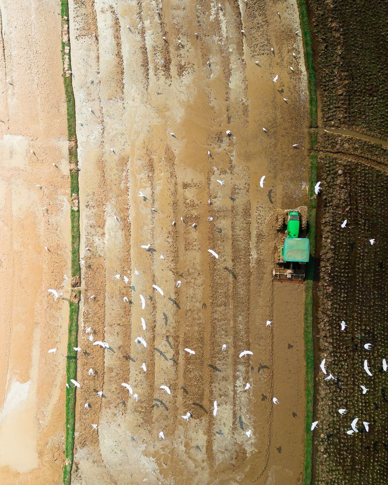 Photograph by Anirban Pan