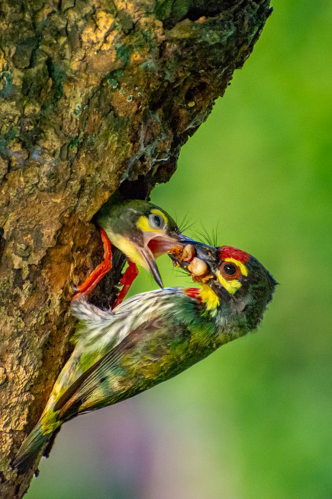 Photograph by NAVIN AGARWAL