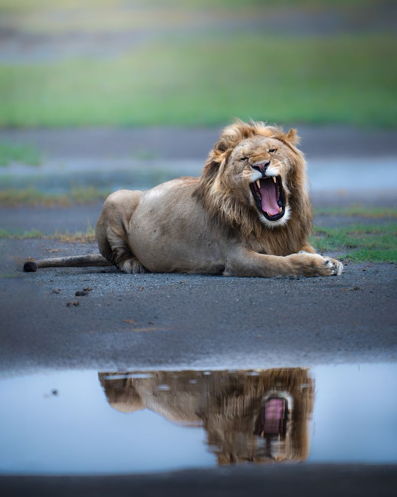 Photograph by Alexandra Surkova