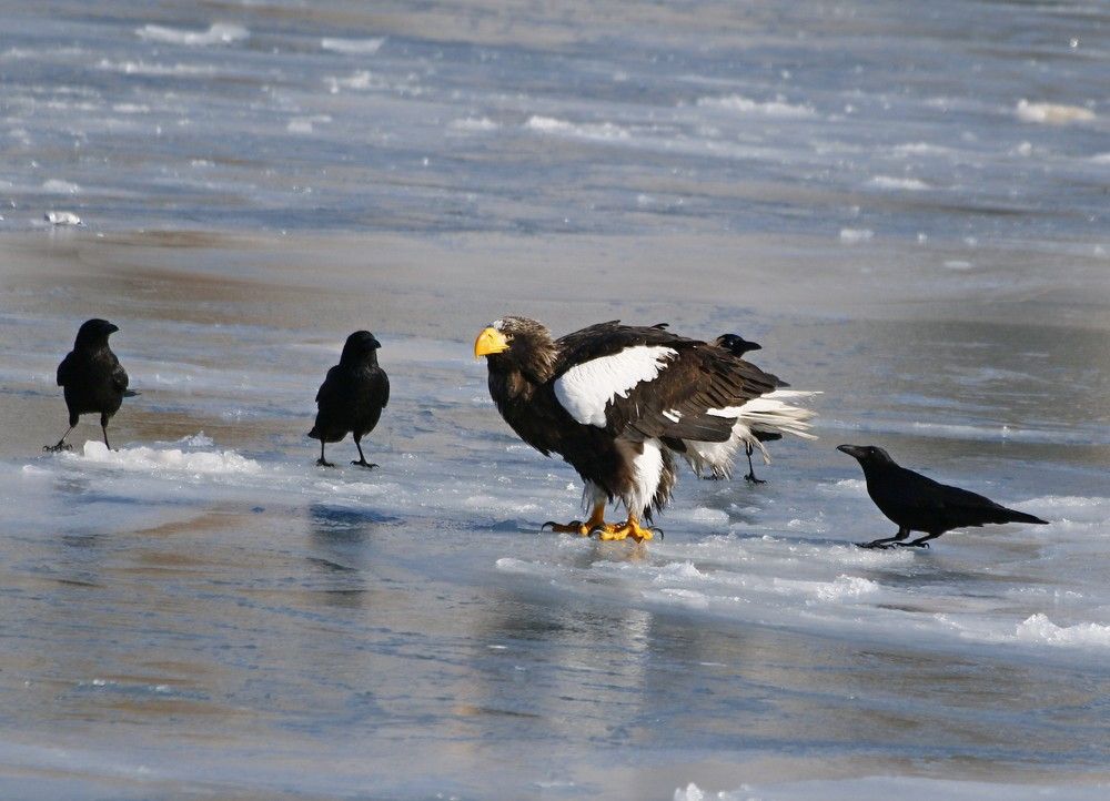 Photograph by Наталья Турчик