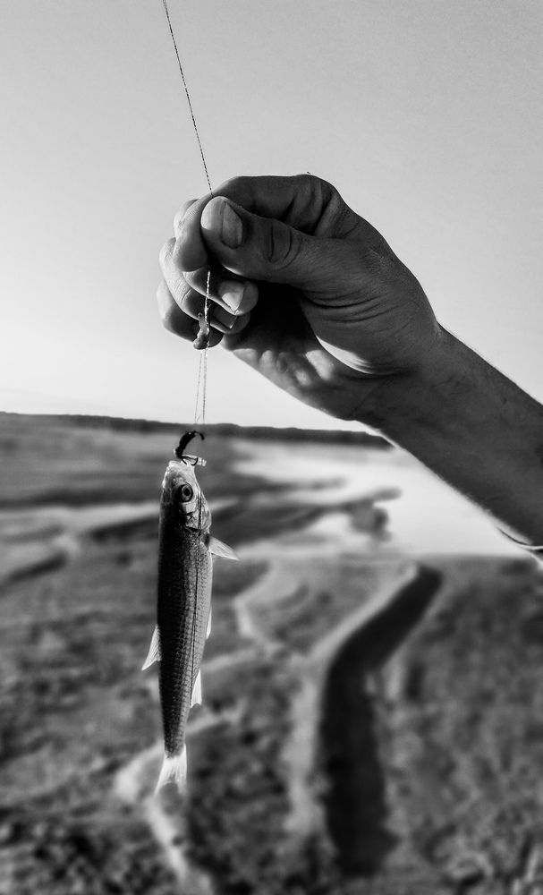 Photograph by Евгения Петрук