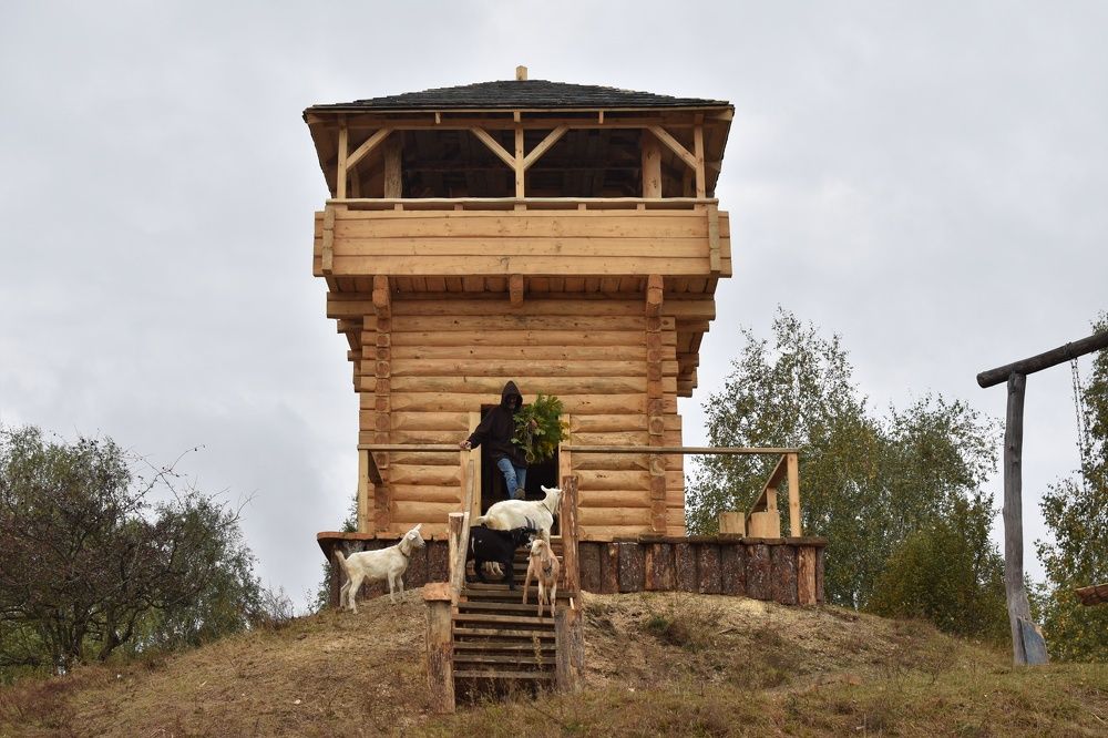 Photograph by Мария Бартош