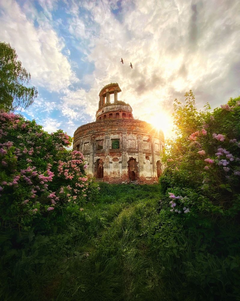 Photograph by Протасов Сергей