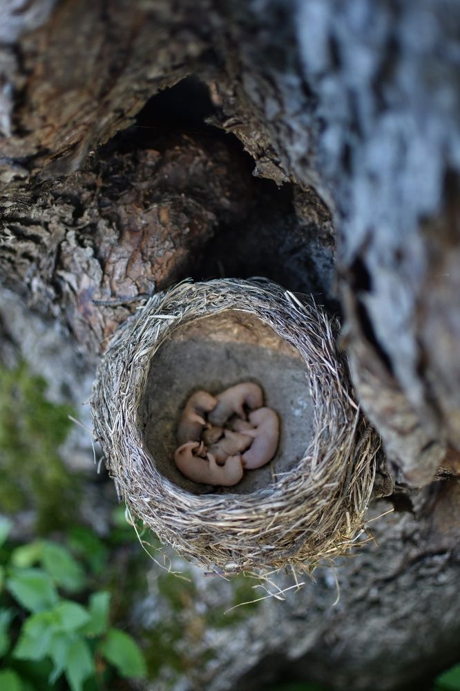 Photograph by Мария Бартош