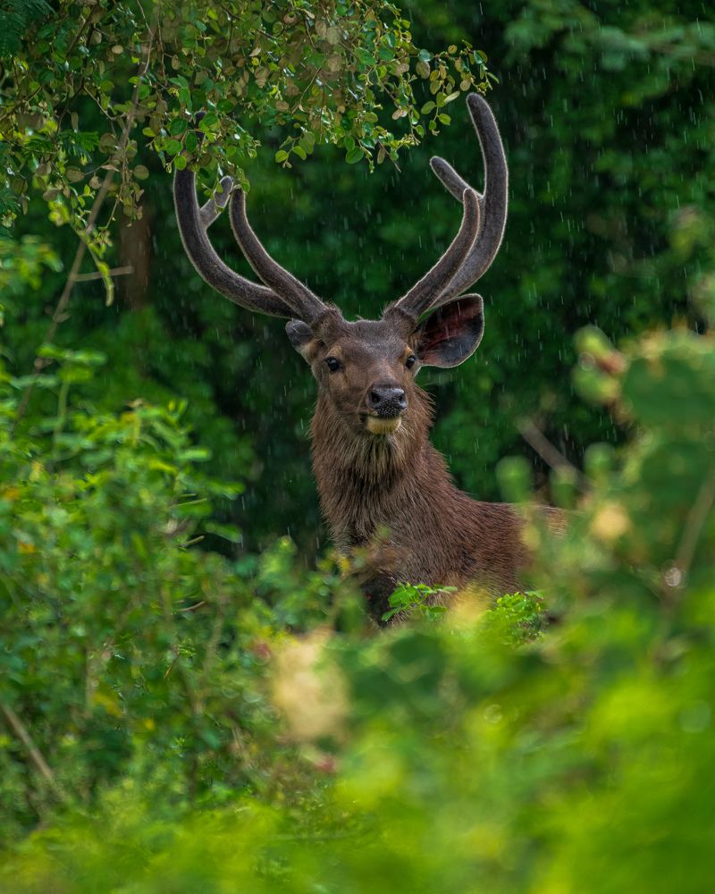 Photograph by Arnold judson Samuel