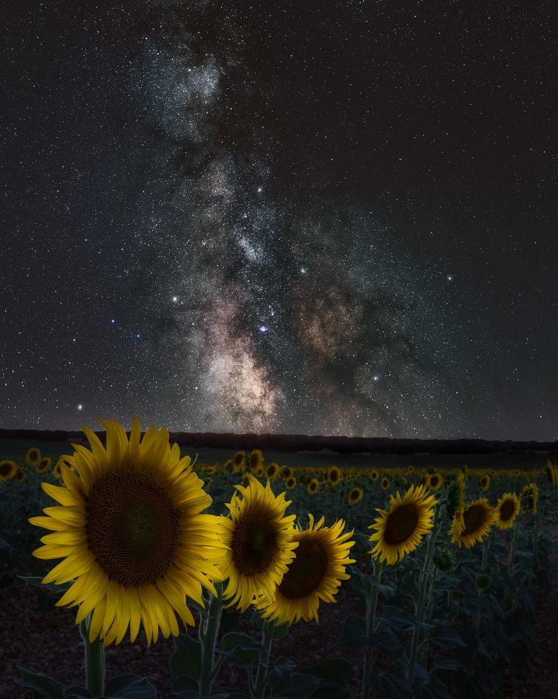 Photograph by Oscar Lata