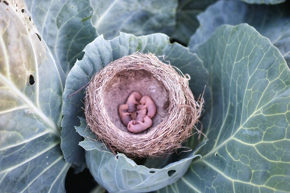 Photograph by Мария Бартош