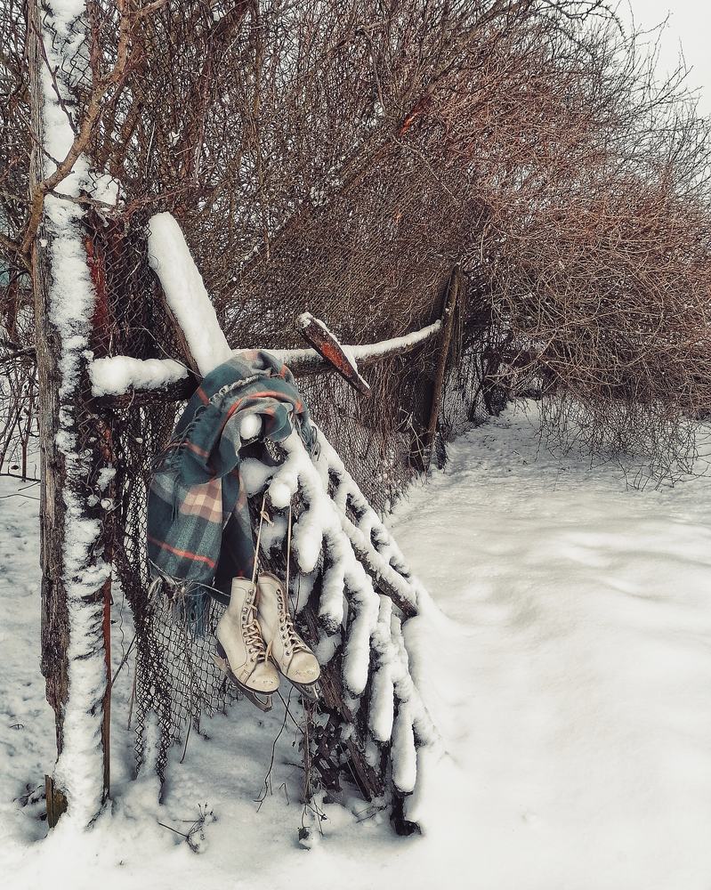Photograph by Наталья Кондрашова