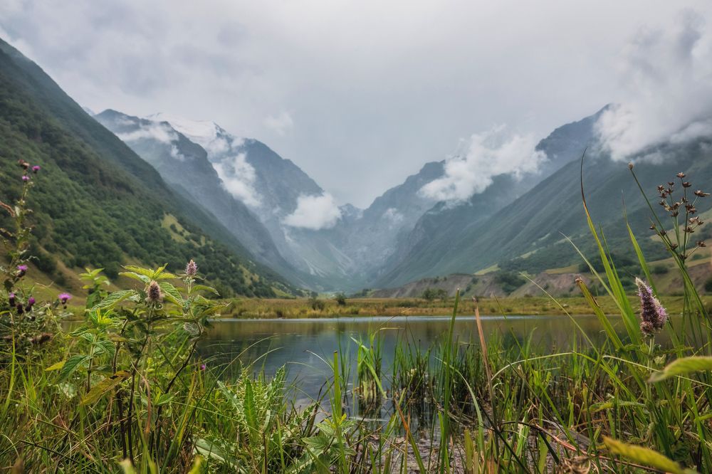 Photograph by Дудников Александр