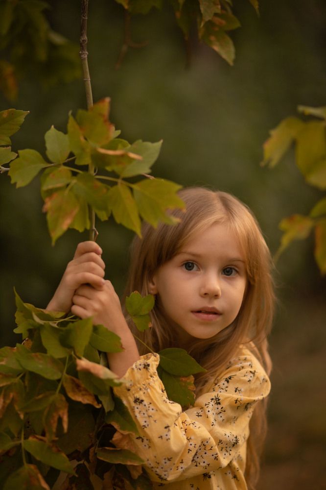 Photograph by Александр Поварго