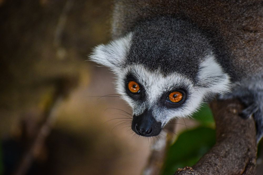 Photograph by Reyaansh Mittal