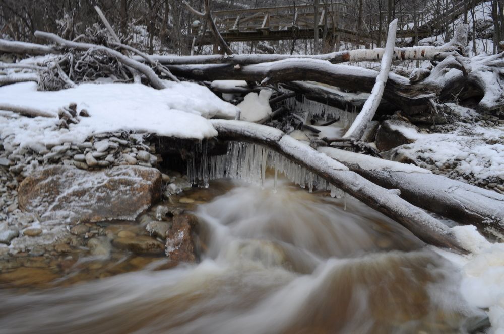 Photograph by Дмитрий Шарый