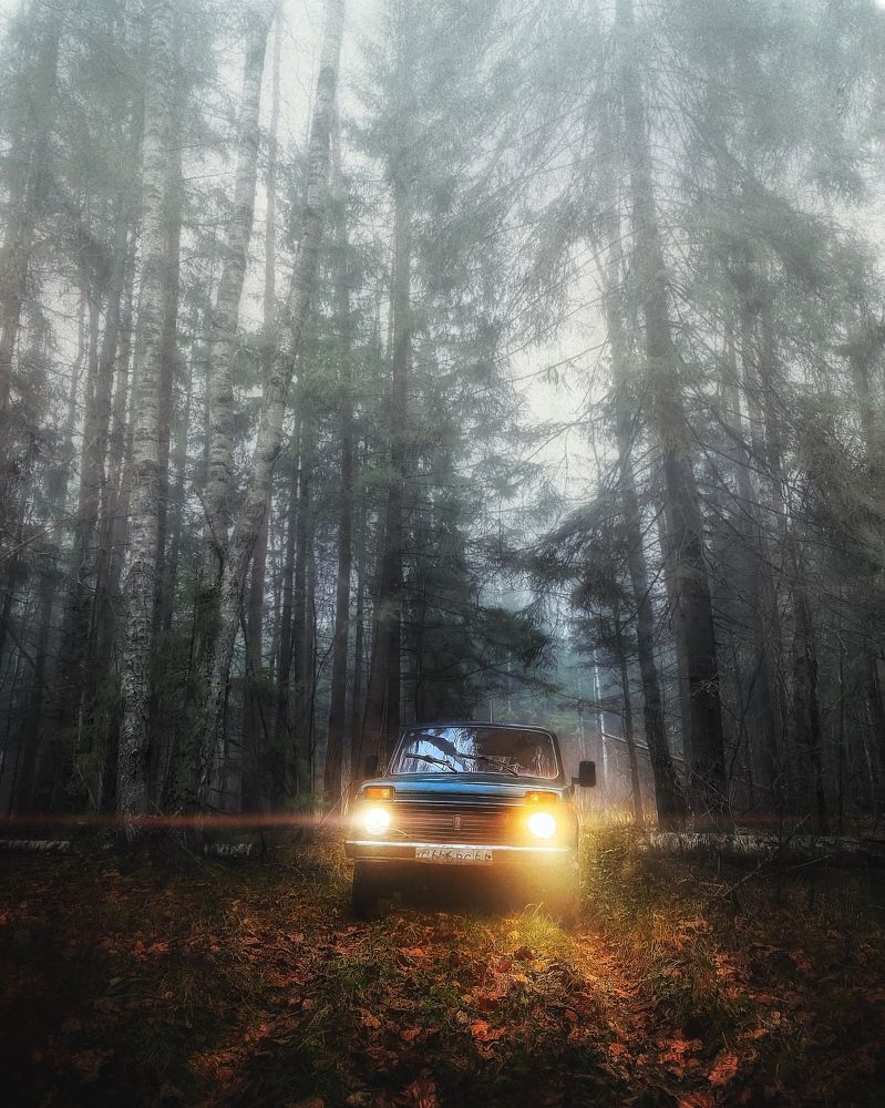 Photograph by Протасов Сергей