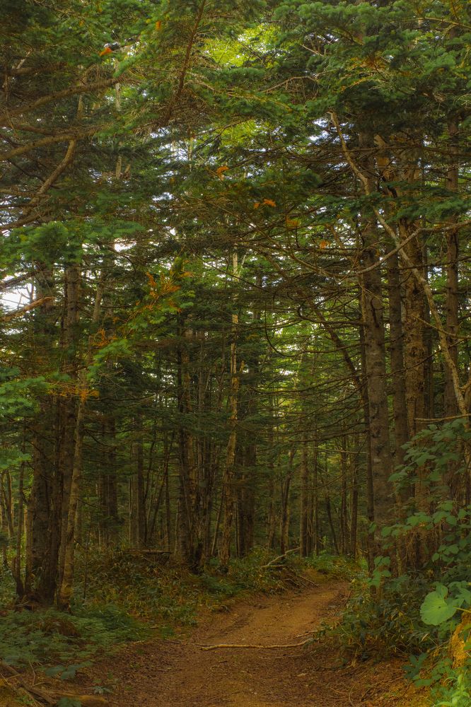 Photograph by Anna Turks