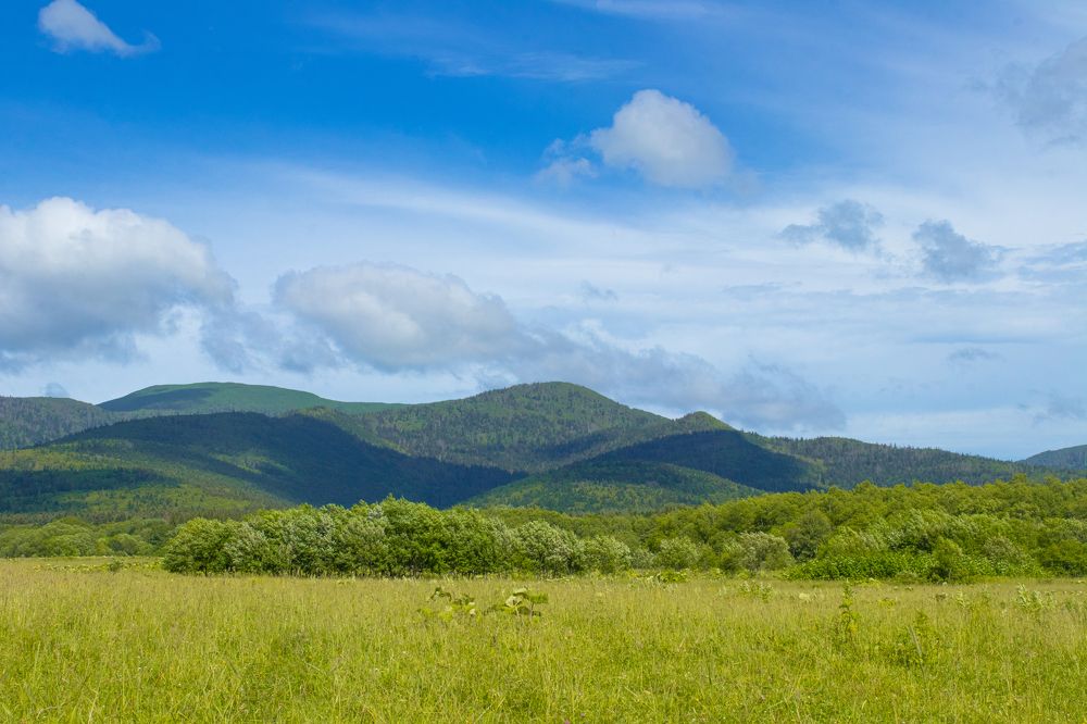 Photograph by Anna Turks