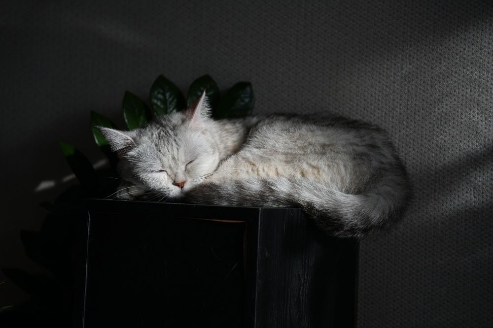 Photograph by фид зон