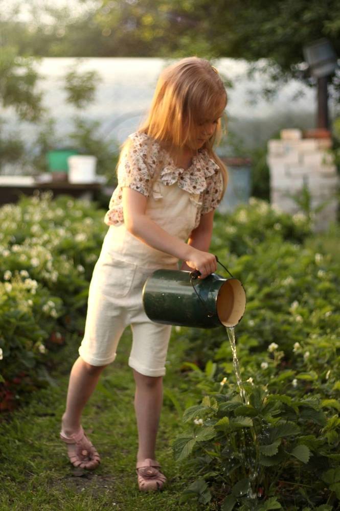 Фотография автора Юлия Нефёдова