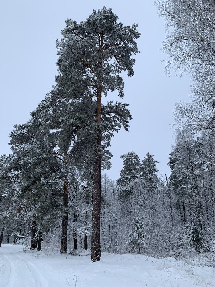 Photograph by Валентина