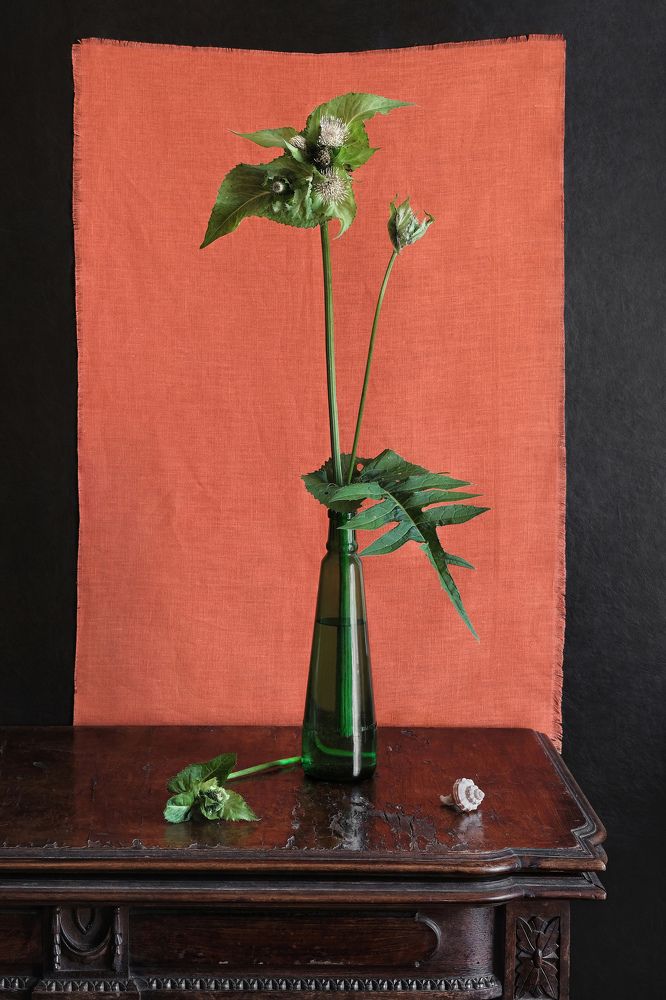 Photograph by Олеся Неволина-Лопатина