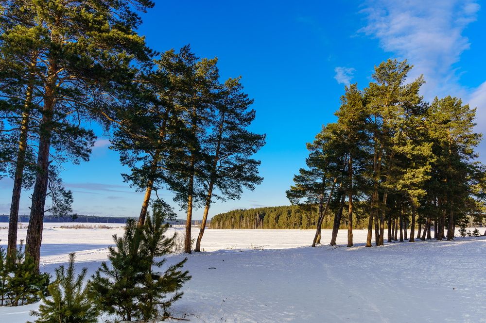 Photograph by Евгений Наймушин