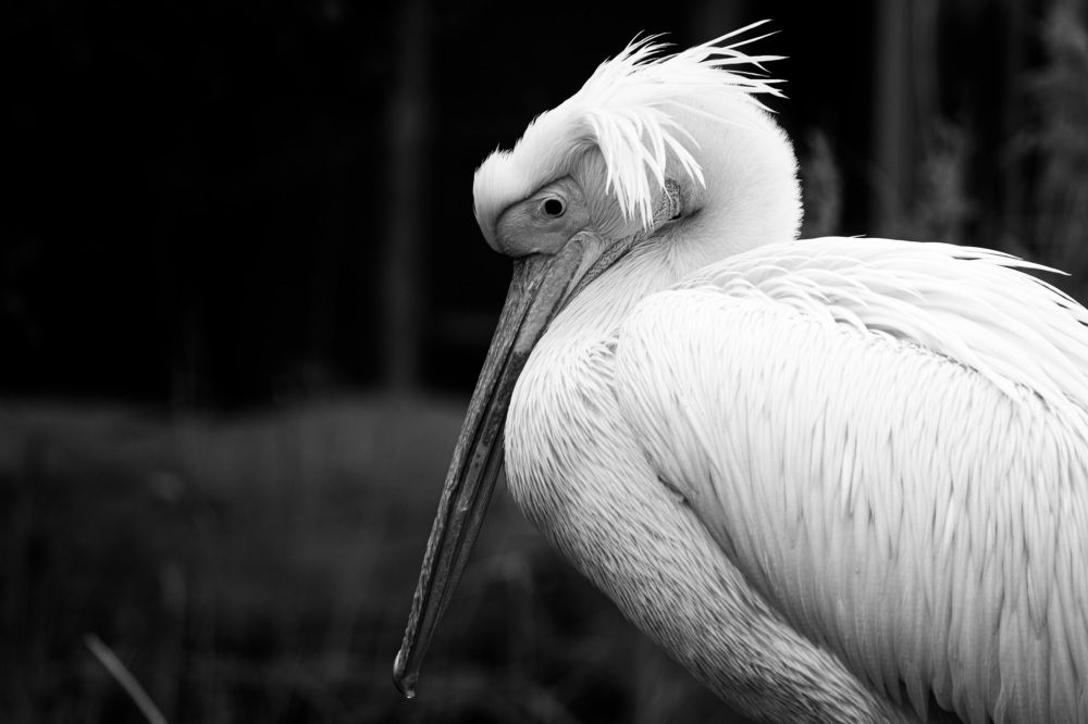 Photograph by Masaomi  Gozu