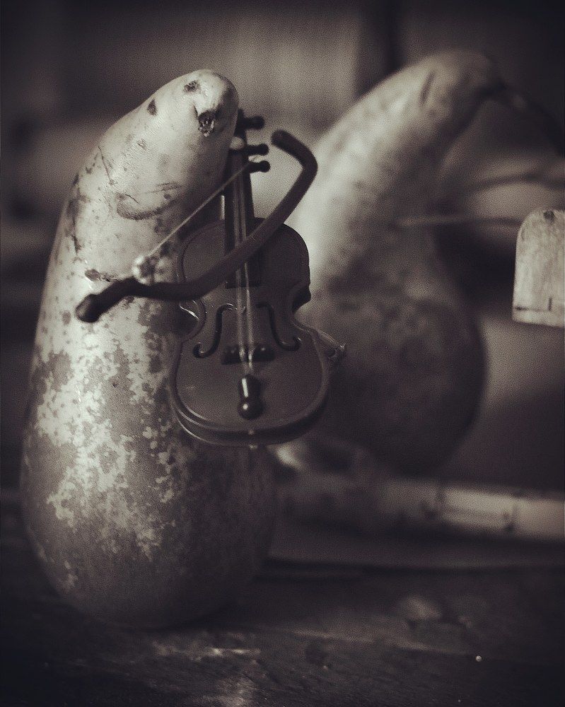 Photograph by Татьяна Исаева