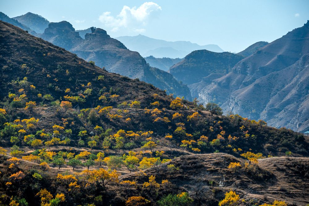 Photograph by Юрий Киреичев