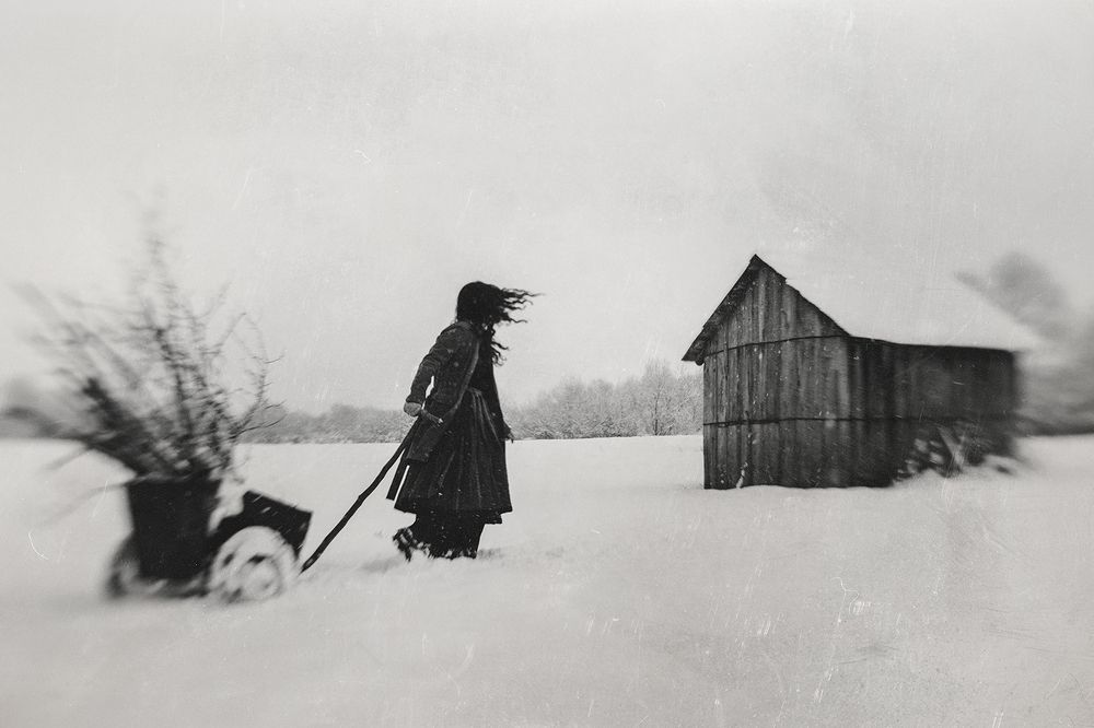 Photograph by Moga Alexandru