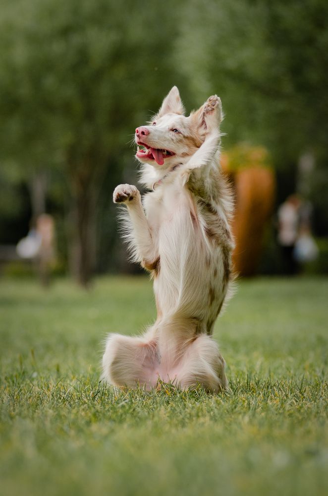 Photograph by Алиса Пономаренко