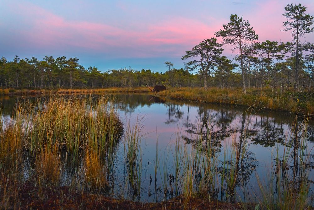 Photograph by Игорь Кляхин