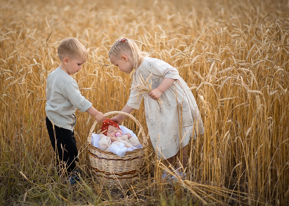 Photograph by Наталья Сметанина