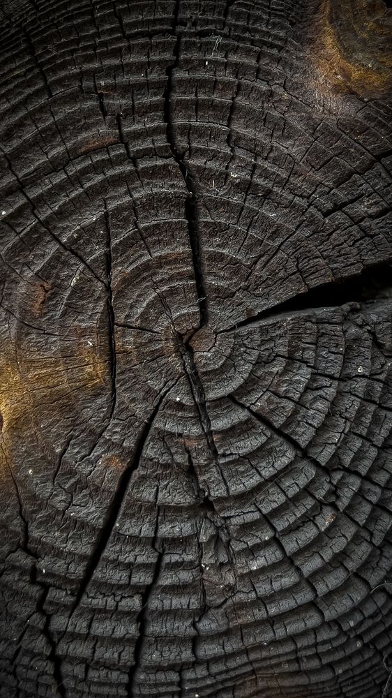 Photograph by Александр Пискарев