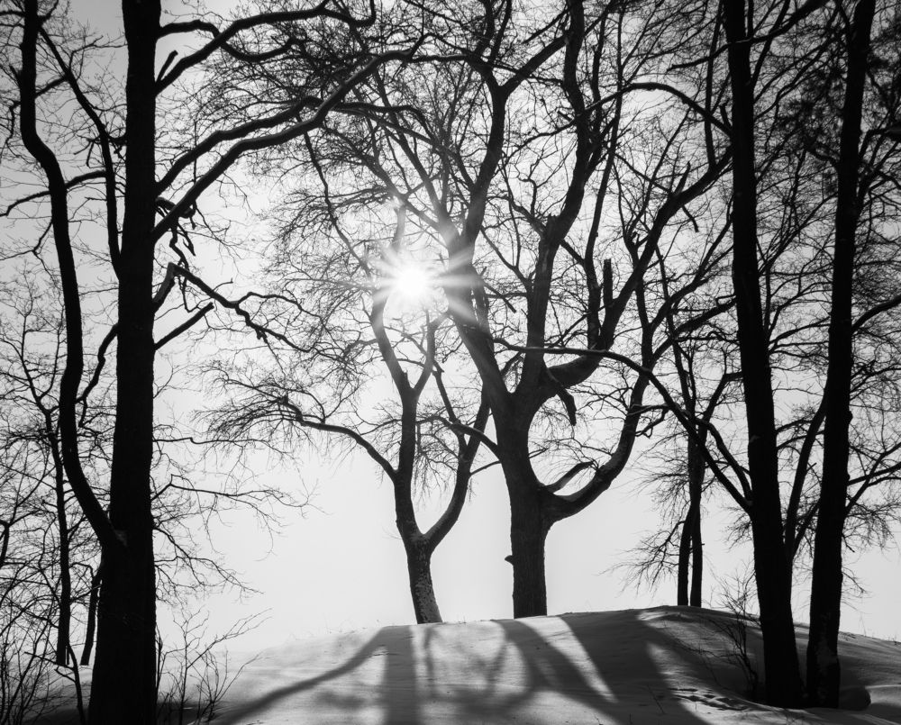 Photograph by Евгений Волосков