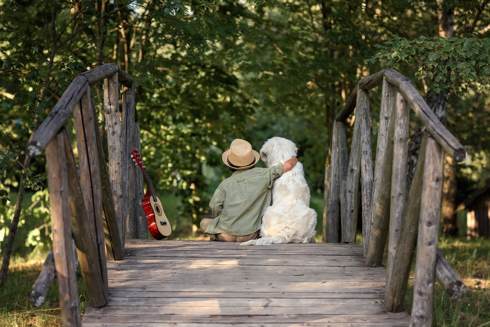 Photograph by Виктория Дубровская
